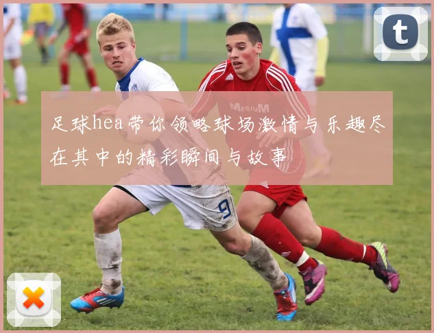 足球hea带你领略球场激情与乐趣尽在其中的精彩瞬间与故事