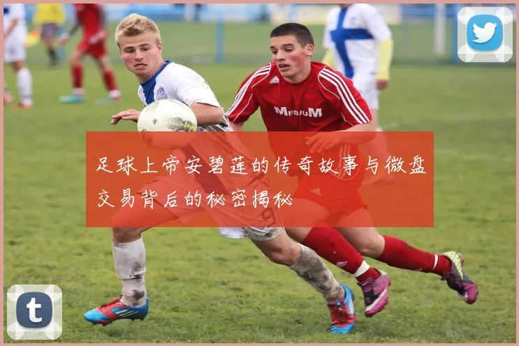 足球上帝安碧莲的传奇故事与微盘交易背后的秘密揭秘