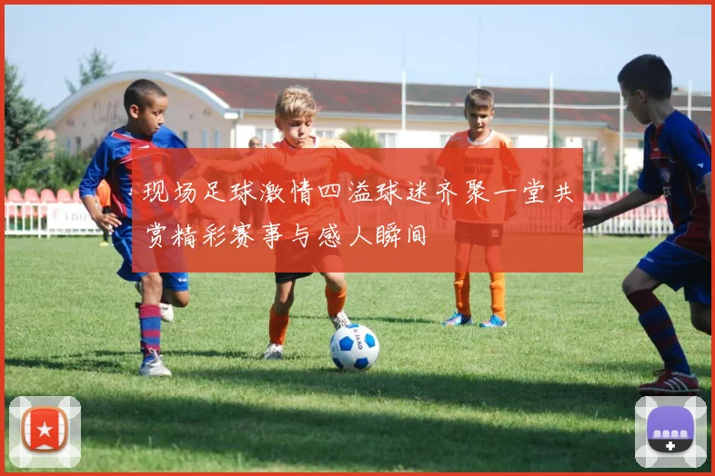 现场足球激情四溢球迷齐聚一堂共赏精彩赛事与感人瞬间