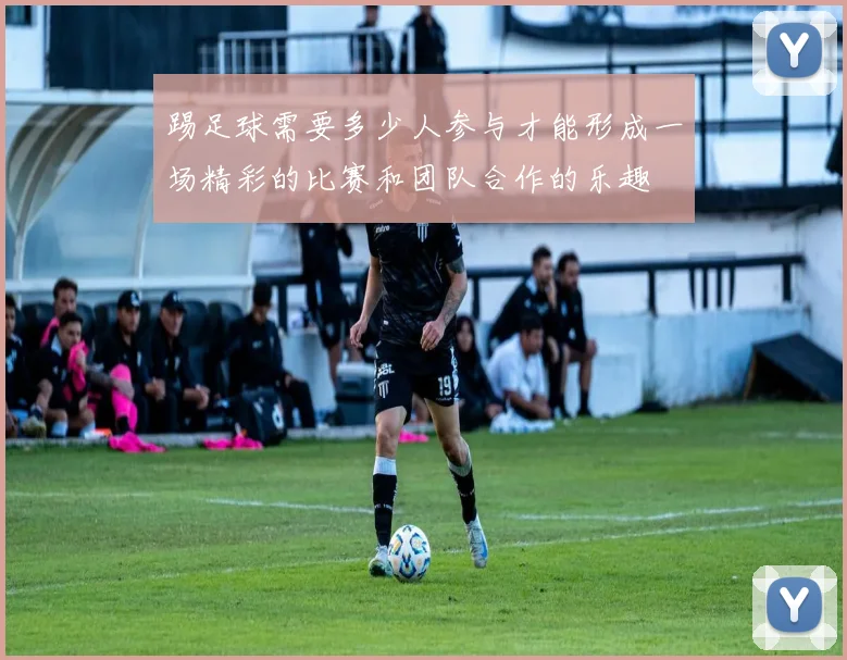 踢足球需要多少人参与才能形成一场精彩的比赛和团队合作的乐趣